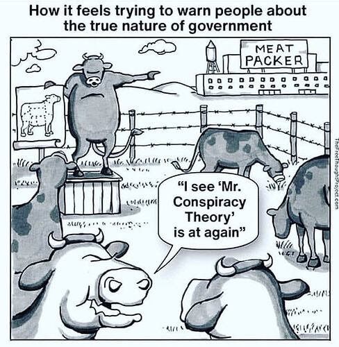 The cartoon humorously depicts cows in a pasture, with one cow attempting to warn others about the dangers of government while being dismissed as a conspiracy theorist. (Captioned by AI)